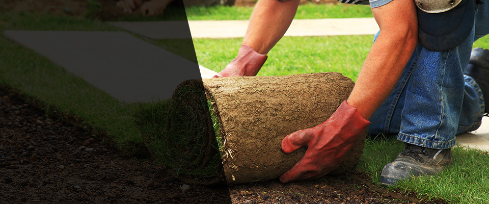 Occoquan Landscapers
